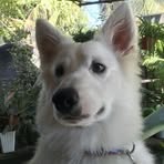 Profile Picture of Stacy Kassandra (@109stacygabbuat707) on Facebook