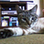 Profile Picture of Amy Ziegler (@Amyyy6) on Flickr