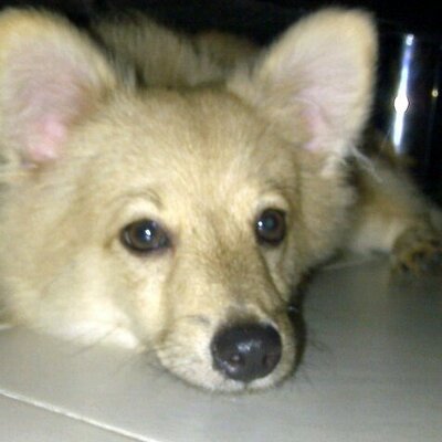 Profile Picture of Jason Bastian (@Jason_bastian12) on Twitter