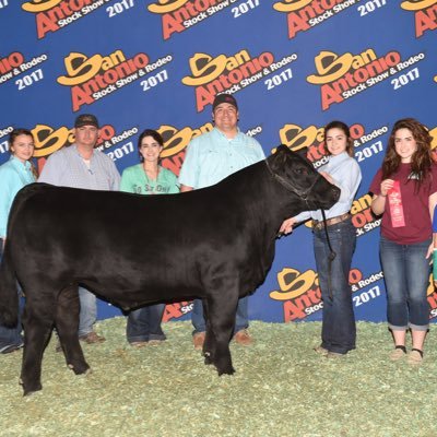 Profile Picture of Michael Mascorro (@Michael_Mas78) on Twitter