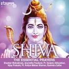 Profile Picture of   miss khushboo08... (@khushboopatel84) on Tiktok