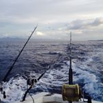 Mike Spindler - Instagram Profile Picture of Mike Spindler (@mdspindler9) on Instagram