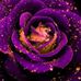 Profile Picture of Crystal Singletary (@crystal.singletary.37) on Facebook