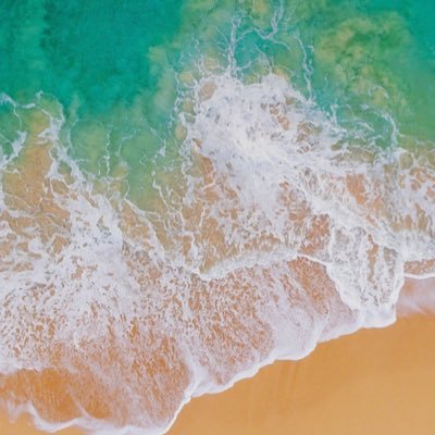 Profile Picture of Travis McCullough (@travmccullough) on Twitter