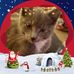 Profile Picture of David McCready (@david.mccready.948) on Facebook
