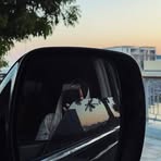 Profile Picture of Prenns's Al Shpoall (@Prennss-Al-Shpoall) on Facebook