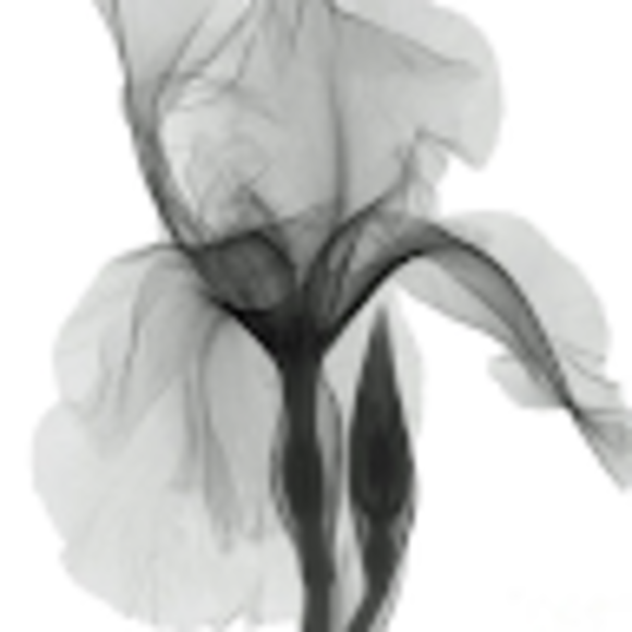 Profile Picture of Chia-yu Hsu (@kyooywh) on Poshmark