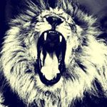 Profile Picture of Alfredo Villarreal (@alfredovillarreal37) on Instagram