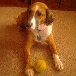 Profile Picture of AllisonMcGinnis (@allisonmcginnis04) on Instagram
