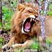 Profile Picture of Scott Harker (@scott.harker1) on Facebook