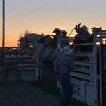 Profile Picture of Cade Costello (@albertavadeti) on Instagram