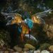 Profile Picture of Andy Byrd (@bernhard_andre) on Pinterest