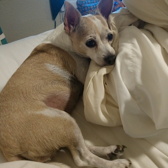 Profile Picture of Tracy Strates (@tracystrates) on Poshmark