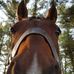 Profile Picture of Tracy Haelterman (@tracy.haelterman.7) on Facebook