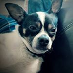 Profile Picture of Harold Thompson (@haroldthompson88) on Instagram