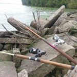 Profile Picture of Marty Hawkins (@huntingdeermeat) on Instagram