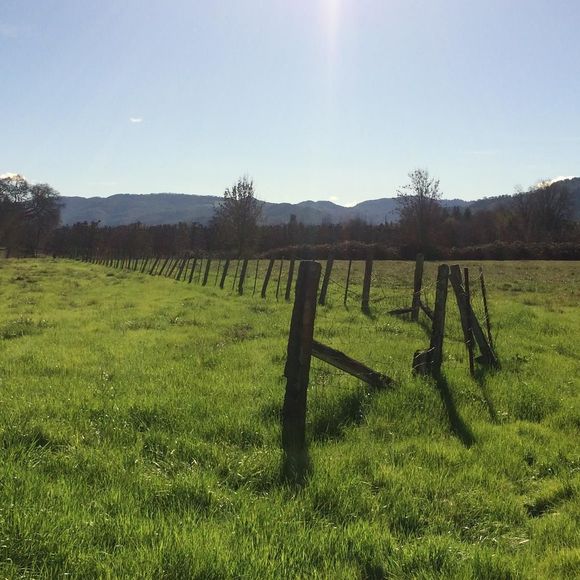 Profile Picture of Tamara Neustel (@tamaraneustel) on Poshmark