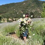 Profile Picture of Pam Wright (@pamwright1986) on Instagram