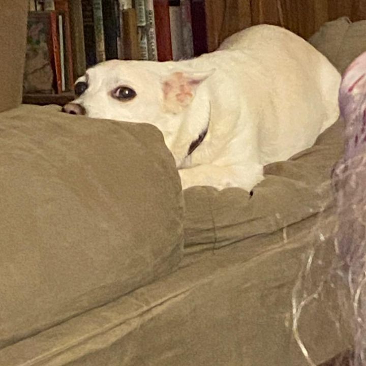 Profile Picture of Daniel Hoard (@@2hoard2) on Tiktok