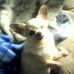 Profile Picture of Steven Wolfe (@steven.wolfe.3954) on Facebook