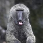 Profile Picture of John O'Hagan (@johnjohagan01) on Instagram