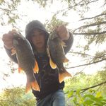 Profile Picture of William Fecto (@williamfecto) on Instagram