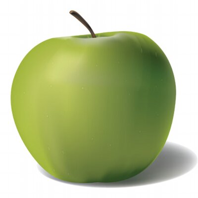 Profile Picture of Lisa Evett (@AuroraSustain) on Twitter