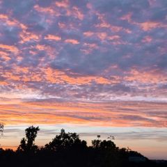 paulcravenz - Tiktok Profile Picture of paulcravenz (@paulcravenz) on Tiktok