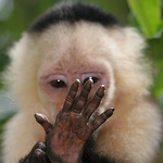 Profile Picture of Jonas Andersson (@galumphingback) on Flickr