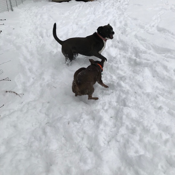 Mary jane Frump - Poshmark Profile Picture of Mary jane Frump (@frumper) on Poshmark