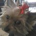 Profile Picture of Debbie Nelson Mock (@debbie.nelsonmock.7) on Facebook