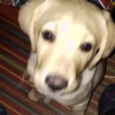 Profile Picture of Alex Morelló Enguix (@AlexEnguix) on Twitter