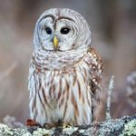 Profile Picture of Benjamin Sayers (@sayers.benjamin) on Instagram