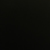 Profile Picture of Wyatt Ross (@wyattross3325) on Youtube