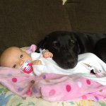 Profile Picture of Aaron Hanlon (@notagoodsign) on Instagram