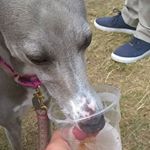 Profile Picture of June Russell (@june.russell.9212) on Instagram