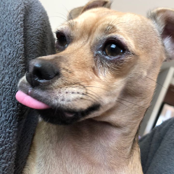 matthewelewin - Tiktok Profile Picture of matthewelewin (@emu_trick) on Tiktok