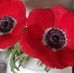 Profile Picture of Wilma Halbersma (@wilma.halbersma.71) on Facebook