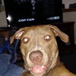 Profile Picture of Paul E. Rutherford SR. (@paulrutherfordsr) on Instagram