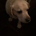 Profile Picture of James McElhinney (@james.mcelhinney) on Instagram