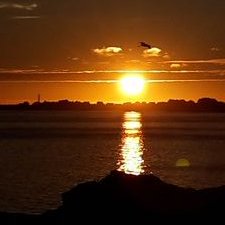 Profile Picture of Colin Pughon Twitter