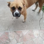 Profile Picture of Máté Kállai (@Máté-Kállai) on Facebook