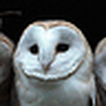 Profile Picture of Paul Chinniah (@paulchinniah) on Flickr