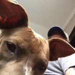 Profile Picture of Steve Maurer (@steve.maurer.568) on Instagram