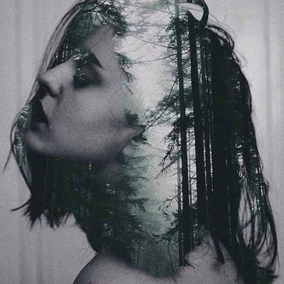Profile Picture of Haneen Ahmed (@haneenahmed257) on Twitter