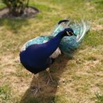 Profile Picture of Daniel Žurek (@daniel_zurek06) on Instagram