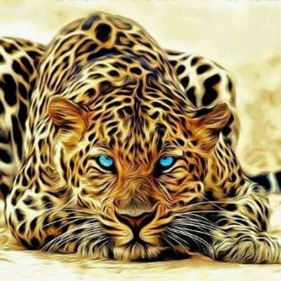 Profile Picture of Shady Nabil Fahim (@ShaDyNabilFahim) on Twitter