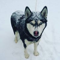 Profile Picture of Matthew Dupuis (@matthew-dupuis-5) on Quora