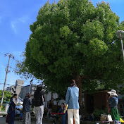 Profile Picture of Etsuko Kawabe (@yamazam) on Youtube