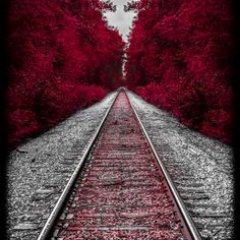 Profile Picture of Ashlie Hansen (@Thirteen_Roses7) on Twitter